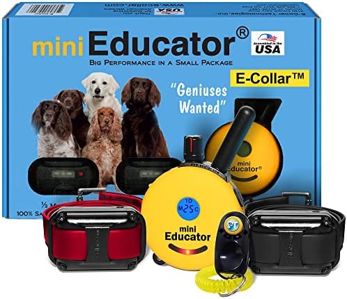 Mini Educator ET-302-1/2 Mile Rechargeable Dog Trainer Ecollar with Remote for Small, Medium, and Large Dogs by E-Collar Technologies - Electric, Vibration, Tone, and Stimulation Collar