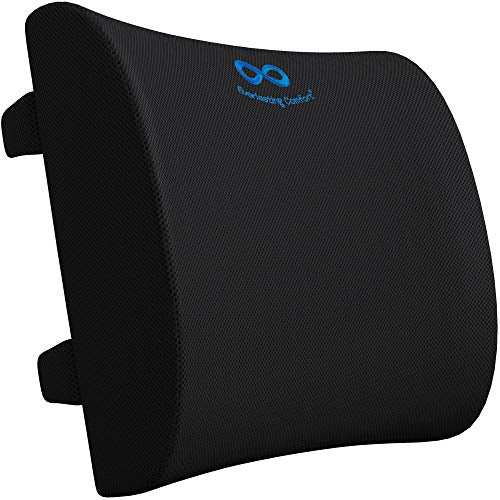 Everlasting Comfort Lumbar Support Pillow for Office Chair - Memory Foam Back Cushion for Chair, Car, Couch - Lumbar Pillow Promotes Better Posture, Back Pain Relief - Ideal for Gaming and Desk Chairs
