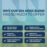 Irish Sea Moss Capsules | With Organic Irish Moss, 300mg Burdock Root & 500mg Bladderwrack Powder | 45-Day Supply | 1300mg Complex | Provides Iodine for Thyroid & Immune Support | 90 Veggie Pills