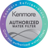 Kenmore 9990 Refrigerator Water Filter, 1 Count (Pack of 1), White