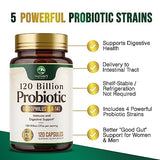 Probiotics for Digestive Health - 120 Billion CFU Guaranteed with Diverse Strains for Women's Vaginal & Urinary Health & Daily Immune Support, Nature's Acidophilus Probiotic Supplement - 120 Capsules