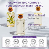 HIQILI 16 Fl Oz Lavender Essential Oil Pure, 100% Pure Natural for Diffuser - 500ML