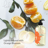 Lulu Orange Blossom Massage Oil. with Jojoba and Essential Oils. for Massaging 16 Ounce.