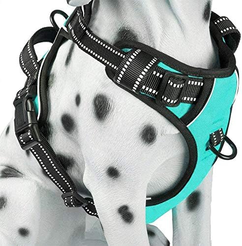 PoyPet No Pull Dog Harness, Reflective Comfortable Vest Harness with Front & Back 2 Leash Attachments and Easy Control Handle Adjustable Soft Padded Pet Vest for Small to Large Dogs (Mint Blue,S)