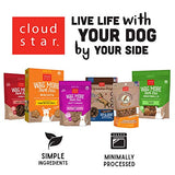 Cloud Star Dynamo Dog Skin & Coat Treats – Chewy Treat with Fish Oil for Shiny Coat (14 oz. Salmon)