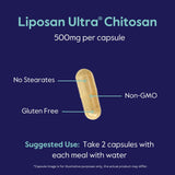 BESTVITE Liposan Ultra Chitosan 500mg (240 Capsules) - Patented Faster Acting Than Regular Chitosan - No Stearates - No Fillers