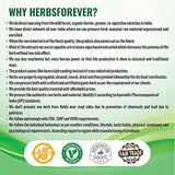Herbsforever Varuna Powder – Crataeva Nurvala – Prostate Health – Non GMO, Organic, Vegan – 230 GMS