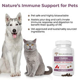 Chaga Pet Support Mushroom Supplement (120ct) Cat & Dog Vitamins for Immune Defense & Digestion Support - Vet Approved Mushroom Dog Vitamins and Supplements, Grain-Free, Gluten-Free