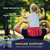 MaxImmunity Organic Elderberry Syrup, 60 Day Supply, Black Liquid Drops for Immune Support, Sambucus Elderberry Syrup - Liquid Extract Drops for Kids & Adults - Extra Strength (2 Pack)