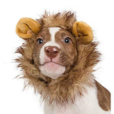 Pet Krewe Cat Lion Mane Halloween Costume – Fits Neck Size 8”-14 - Lion Costume for Small Cats and Kittens – Ideal for Halloween, Cat Birthday, Cat Cosplay, Cat Outfits, Pet Clothes