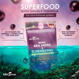 KIKI Green Sea Moss Powder with Elderberry Immune Boost Elderberry Juice - Elderberry Supplements Elderberry Drink Mix Vegan Elderberry Superfood Powder Multivitamin Powder -Immune Support 6 Oz