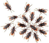 Ksquares Prank Fake Roaches, Favorite Trick Joke Toys Look Real, Scary Insects Realistic Plastic Bugs, Novelty Cockroach for Party, Christmas, Halloween (60)