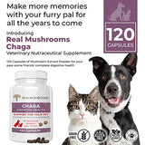 Chaga Pet Support Mushroom Supplement (120ct) Cat & Dog Vitamins for Immune Defense & Digestion Support - Vet Approved Mushroom Dog Vitamins and Supplements, Grain-Free, Gluten-Free