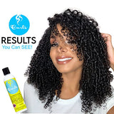 Curls Blueberry Bliss Reparative Leave In Conditioner - Repair Damage and Prevent Breakage - Encourage Hair Growth - For Wavy, Curly, and Coily Hair Types 12 oz