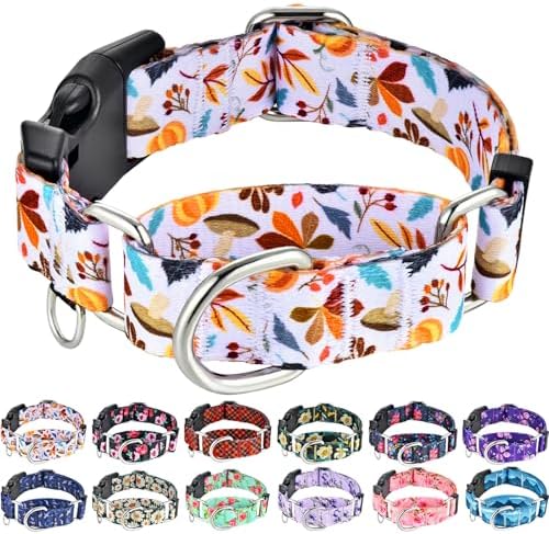 Martingale Collar for Dogs Fall Dog Collars for Small Medium Large Dogs with Buckle Adjustable Soft Nylon Dog Collar (Mushroom Maple Leaf, Small)