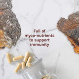 Host Defense Chaga Capsules - Immune System Support Supplement - Chaga Mushroom Capsules for Antioxidant Activity Support - Dietary Mushroom Supplement - 120 Capsules (60 Servings)*