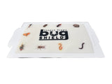 Bug Shield Sticky Glue Traps 36 Glue Boards, All Types of Incets, Spiders, Cockroaches, Ants, Cave Crickets, and More.Professional Strength Glue.