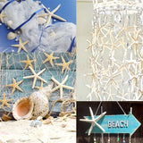 QEQEKAKA® 20 PCS Starfish for Crafts 2" to 4" Natural Starfish Decor Bulk, for Wedding Beach Theme Decor Home DIY Crafts Decor Christmas Tree Starfish Ornaments