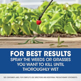 Roundup Weed & Grass Killer₄ Concentrate, Use In and Around Flower Beds, Walkways and other areas of your yard, 35.2 fl. oz.