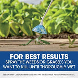 Roundup Weed & Grass Killer₄ with Sure Shot Wand, Use in and Around Flower Beds, Trees, and Driveways, 1 gal.