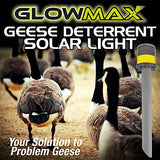 GLOWMAX, Bird Deterrent Device, Nighttime Solution to Repel Geese and Ducks from Lawns, Flashing Night Light Disrupts Sleeping to Discourage Nesting, Set of 1