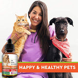 Herbal Cleanse fot Cats and Dogs - Homeopathics Parasites and Toxins for Dogs and Cats - All Breeds and Size - Puppy & Kitten - 2oz