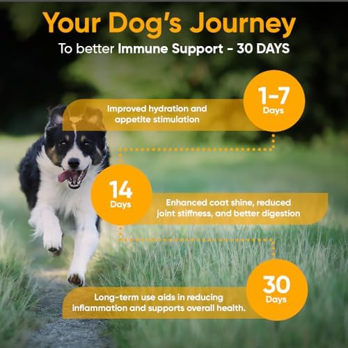 iHeartDogs Bone Broth for Dogs - Bone Broth & Mushroom Gold Powder Supplement for Immune System Support, Improved Mobility & Flexibility and Natural Detox - Turkey Tail Mushroom for Dogs