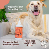 Healthy Joints, Skin and Coat Bundle for Dogs, Includes (1) 16 oz Bottle Natural Dog Company Skin and Coat Oil, (1) 16 oz Bottle Liquid Glucosamine, Food Topper, Dog's Fish Oil Supplement