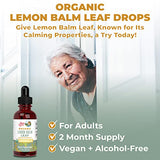 MaryRuth Organics Lemon Balm Leaf | Vegan | Non-GMO | 1 Fl Oz