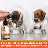 Herbal Cleanse fot Cats and Dogs - Homeopathics Parasites and Toxins for Dogs and Cats - All Breeds and Size - Puppy & Kitten - 2oz