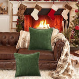 decorUhome Christmas Chenille Soft Throw Pillow Covers 16x16 Set of 2, Farmhouse Velvet Pillow Covers, Decorative Square Pillow Covers with Stitched Edge for Couch Sofa Bed, Forest Elf