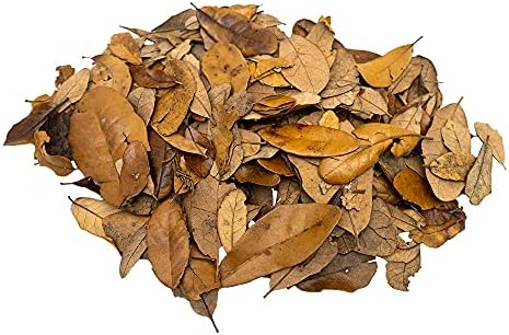 Premium Live Oak Leaf Litter Isopod Substrate Terrarium Bedding (1/2 Gallon)