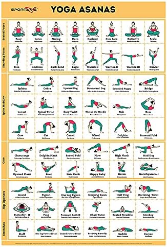 SPORTAXIS Yoga Poses Poster- 64 Yoga Asanas For Full Body Workout- Laminated Home Workout Poster With Colored Illustrations - English And Sanskrit Names