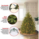 National Tree Company Artificial Mini Christmas Tree, Green, Dunhill Fir, Includes Stand, 4.5 Feet