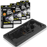 CATSH Rat Mouse Glue Traps 8 Count, Large