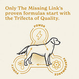 The Missing Link Skin & Coat Probiotics Superfood Supplement Powder for Dogs - Omegas 3 & 6, Fiber, Vitamin-E, Biotin - Supports Healthy Skin & Glossy Coat, Promotes Hair Growth - 1lb