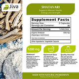 Jiva Botanicals - Organic Shatavari Capsules 1200 Mg - Shatavari Root Powder Extract Supplement - Support Normal Hormonal Balance for Women - Made with Asparagus Racemosus Roots Herb - 60 Capsules