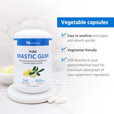 ML Naturals Mastic Gum 1000mg 240 Vegan Capsules. Premium Quality, Supports Stomach & Duodenal Health