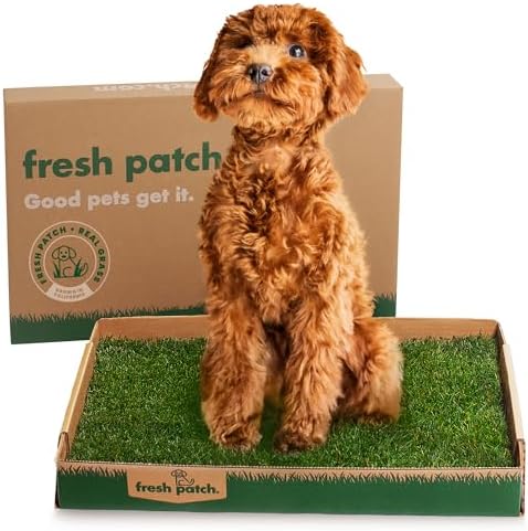 Fresh Patch Real Grass Patch for Dogs, Cats, and Small-Medium Pets Under 15 Pounds – Disposable Pet Grass Pee Pads – Indoor and Outdoor Potty Training Mat (16 Inches x 24 Inches)