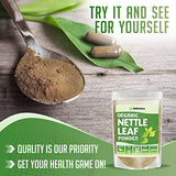 XPRS Nutra Organic Nettle Leaf Powder - Premium USDA Organic Stinging Nettle Powder for Hair and Nails - Vegan Friendly Energy Boosting Organic Stinging Nettle Leaf (8 oz)