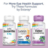 SOLARAY Bilberry Berry Extract 60 mg | Powerful Antioxidant | Healthy Vision & Circulation Support | 60 VegCaps