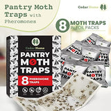 Cedar Hyde Pantry Moth Traps 8-Pack with Pheromones | Long Lasting, Safe, Non-Toxic & No Insecticides | Sticky Glue Pheromone Trap for Kitchen Pantry Moths | U.S.A. Seller