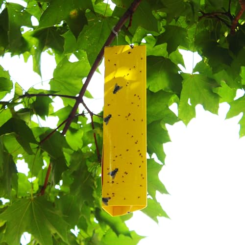 Pic FSTIK-2 Fly Traps, yellow