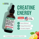 Creatine Monohydrate and Vitamin B12 Drops - With Beet Root Powder, Organic Green Tea & Ginseng - Vegan, Faster Absorption than Creatine Gummies - Energy & Vitality Support (Strawberry Lemonade, 60mL)