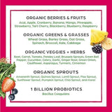 Orgain Organic Greens Powder + 50 Superfoods, Berry - 1 Billion Probiotics for Digestive Health, Antioxidants, Vegan, Plant-Based, Gluten-Free, Non-GMO, Green Juice & Smoothie Drink Mix - 0.62lb