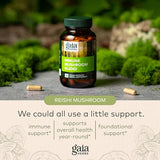 Gaia Herbs Immune Mushroom Blend - Immune Support Mushroom Supplement for Year-Round Health* - with Reishi, Cordyceps, Turkey Tail, Shiitake, and Chaga Mushrooms - 40 Vegan Capsules (40-Day Supply)