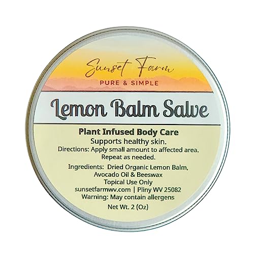 Lemon Balm Salve Herbal Balm Skin Body Care Ointment 2 oz