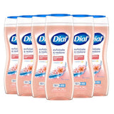 Dial Body Wash, Exfoliate & Restore Himalayan Salt, 16 fl oz, Pack of 6