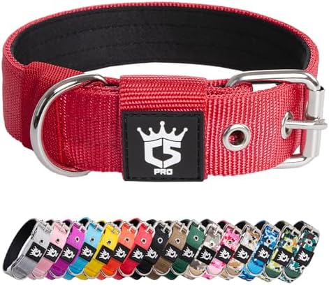 TSPRO Tactical Dog Collar 1.25 Inch Wide Thick Dog Collars with Heavy Duty Metal Buckle, Durable, Strong, Adjustable for Small Dogs (Red S)