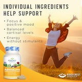 RidgeCrest Herbals Adrenal Fatigue Fighter, Stress and Energy Support Supplement with Ashwagandha, L-Theanine, Ginseng, Schisandra, Taurine, Holy Basil, Adaptogens, B Vitamins (60 Vegan Caps, 30 Serv)